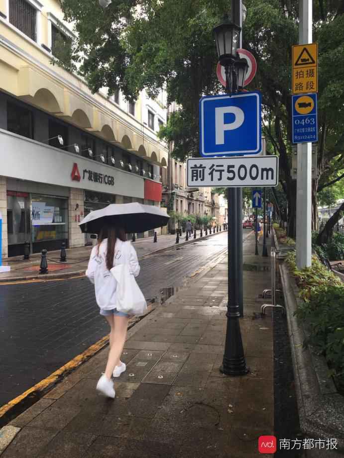 广州沙面标志牌被指太矮易伤人,荔湾区:已整改