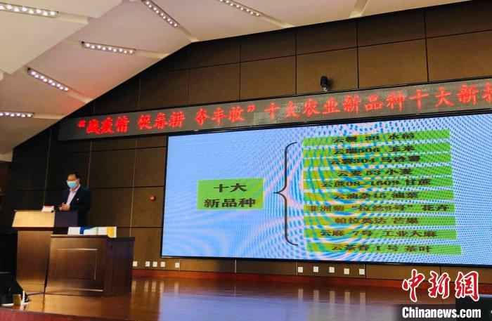 图为推介会现场。 缪超 摄 云南省农科院推出十大农业新品种 科技助力春耕生产