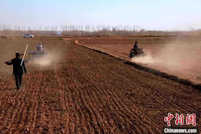 图为河套灌区春小麦开播现场。 齐鸿雁 摄 “塞外粮仓”河套灌区春小麦开播 拉开内蒙古春播序幕